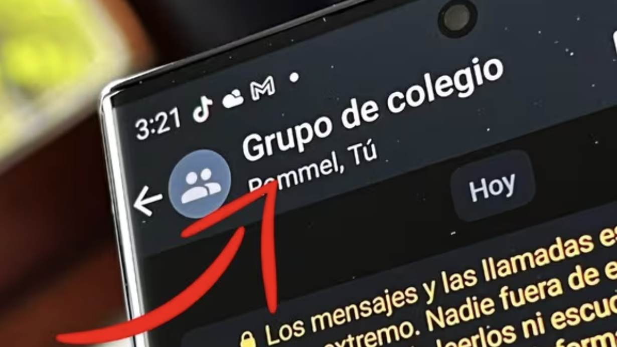 Cómo organizar los chats en WhatsApp Plus