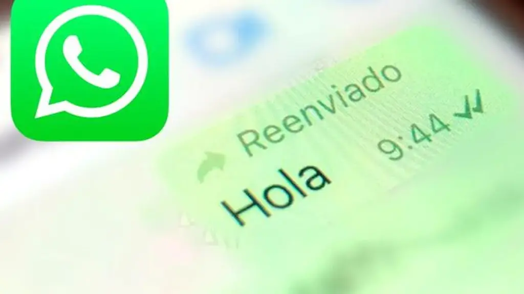 WhatsApp | Cómo acceder a los archivos reenviados