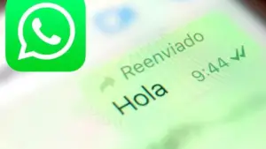 WhatsApp | Cómo acceder a los archivos reenviados