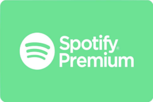 Descargar Spotify X Premium APK - Versión 18.8