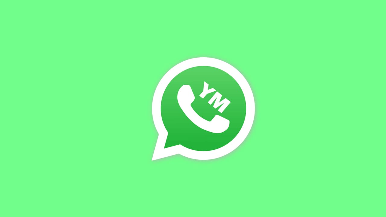 YMWhatsApp