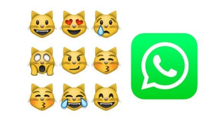 ¿Por Qué hay 9 Emojis de Caras de Gato en WhatsApp?